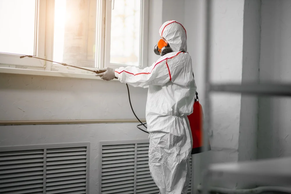 Professional mold remediation services in Nashotah, WI
